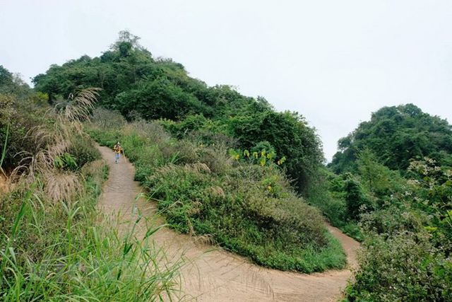 Sắc trắng hoa mơ, hoa mận níu chân du khách khi đến Mộc Châu - Ảnh 4.