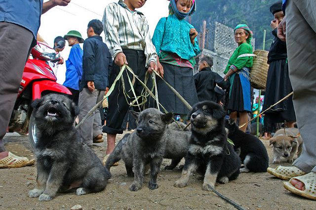 Chợ phiên độc đáo ở vùng cao hút khách du lịch - 18