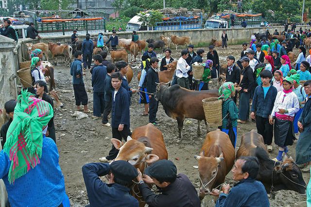 Chợ phiên độc đáo ở vùng cao hút khách du lịch