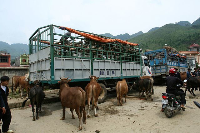 Chợ phiên độc đáo ở vùng cao hút khách du lịch - 8