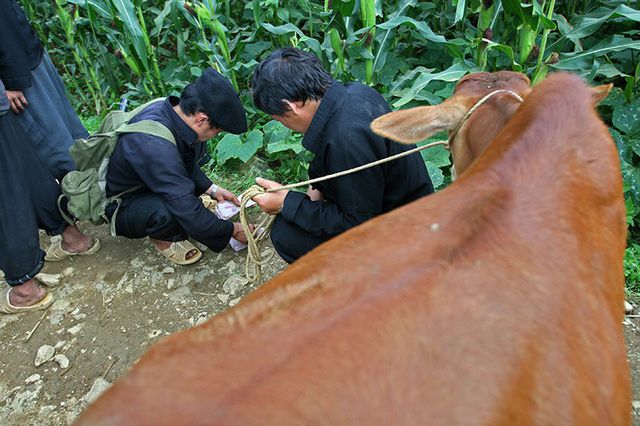 Chợ phiên độc đáo ở vùng cao hút khách du lịch - 9